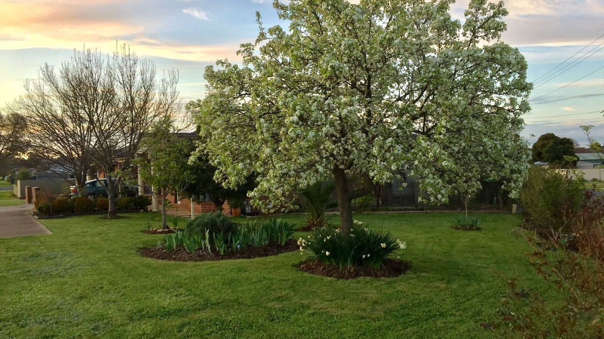 Maryborough Apartment | Bird Abode Accommodation in central Maryborough