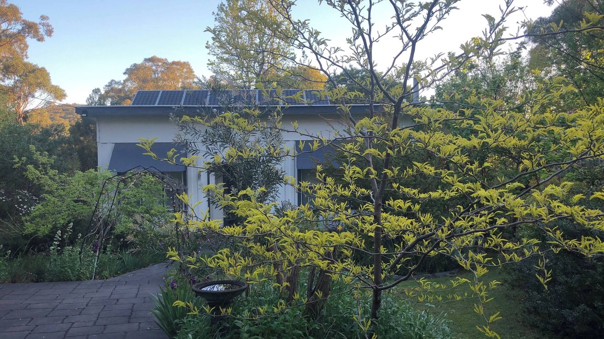 Woori Yallock Cottage | Bird Hill - An Amazing Place to Stay, with nature at every window