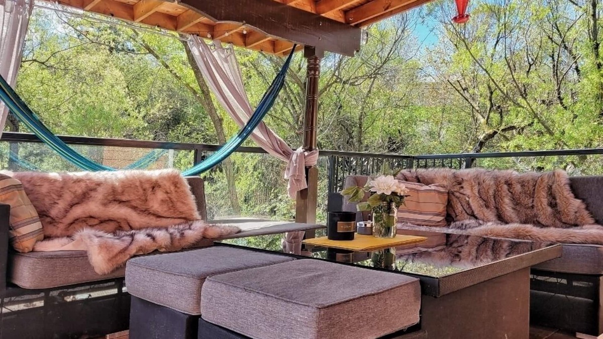 East Hill Apartment | Bird Sanctuary Forested Multi Family Suites