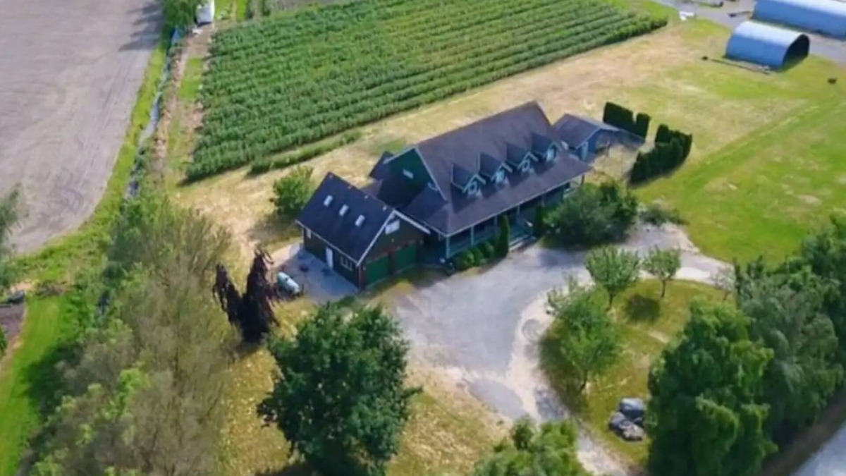 Metro Vancouver Regional District House | Bird Watchers Loft Stay