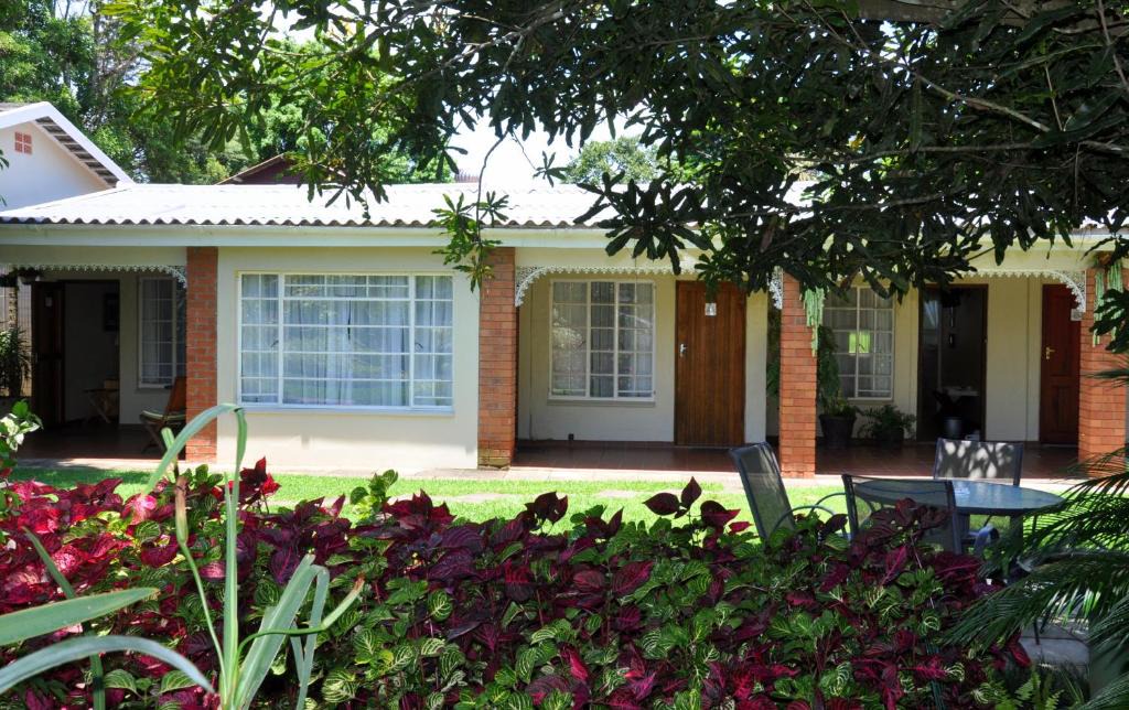 uMlalazi Bed & Breakfast | Birds of Paradise B&B