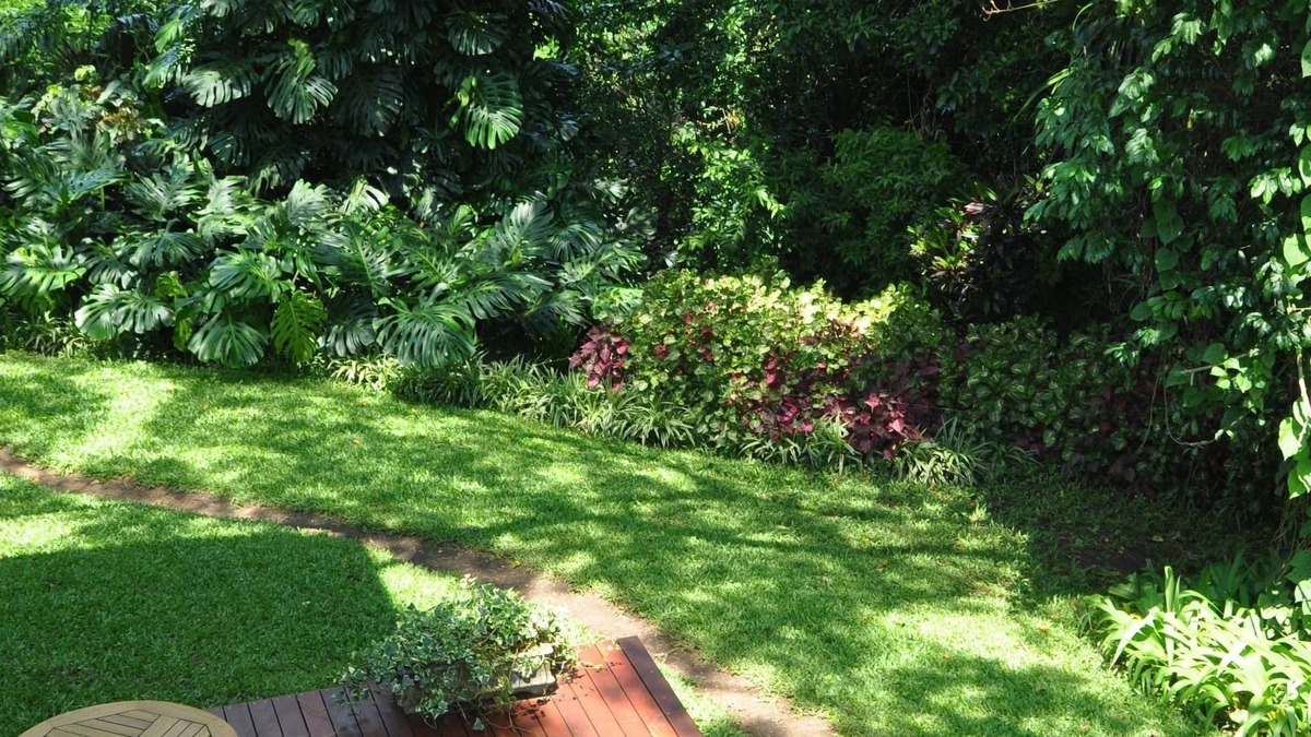 uMlalazi Bed & Breakfast | Birds of paradise B&B