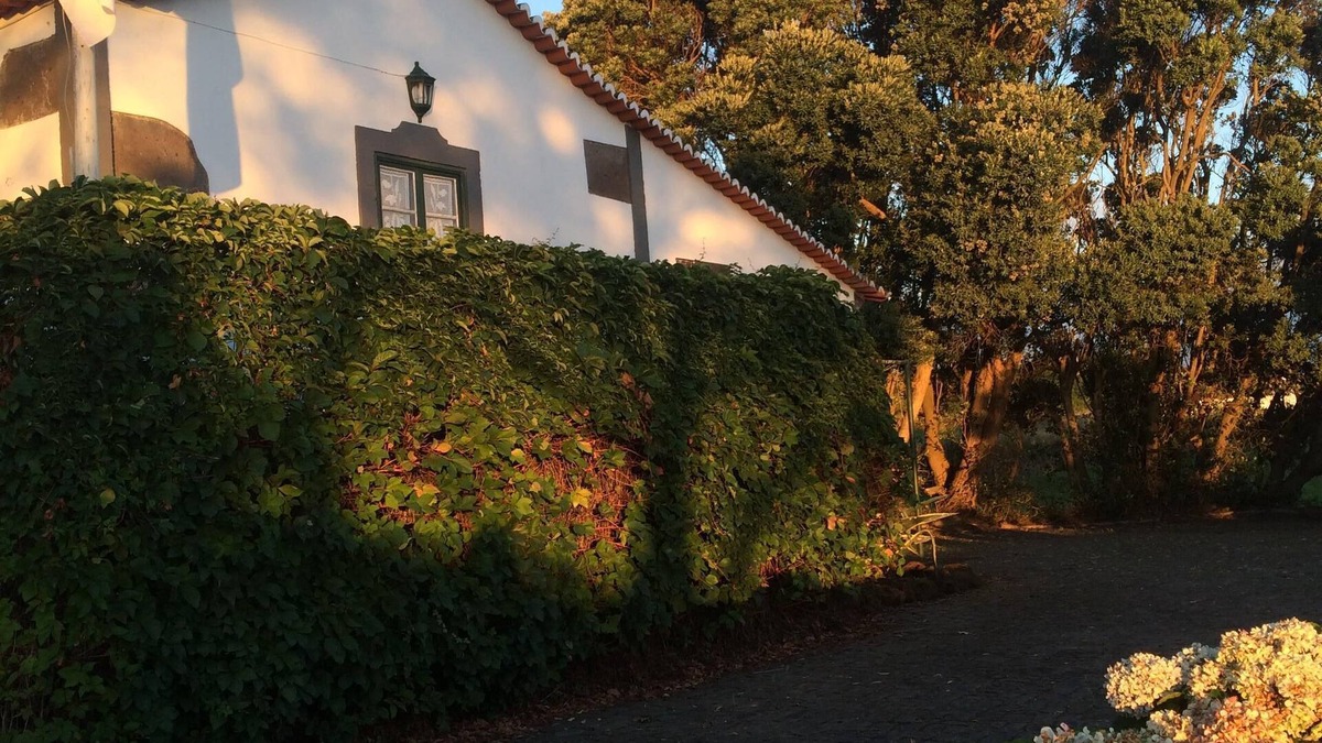 Biscoitos Cottage | Biscoitos balcony on Terceira Island