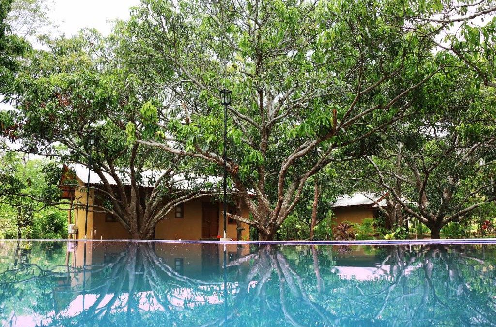 Palugaswewa Cabin | Bissa Villa