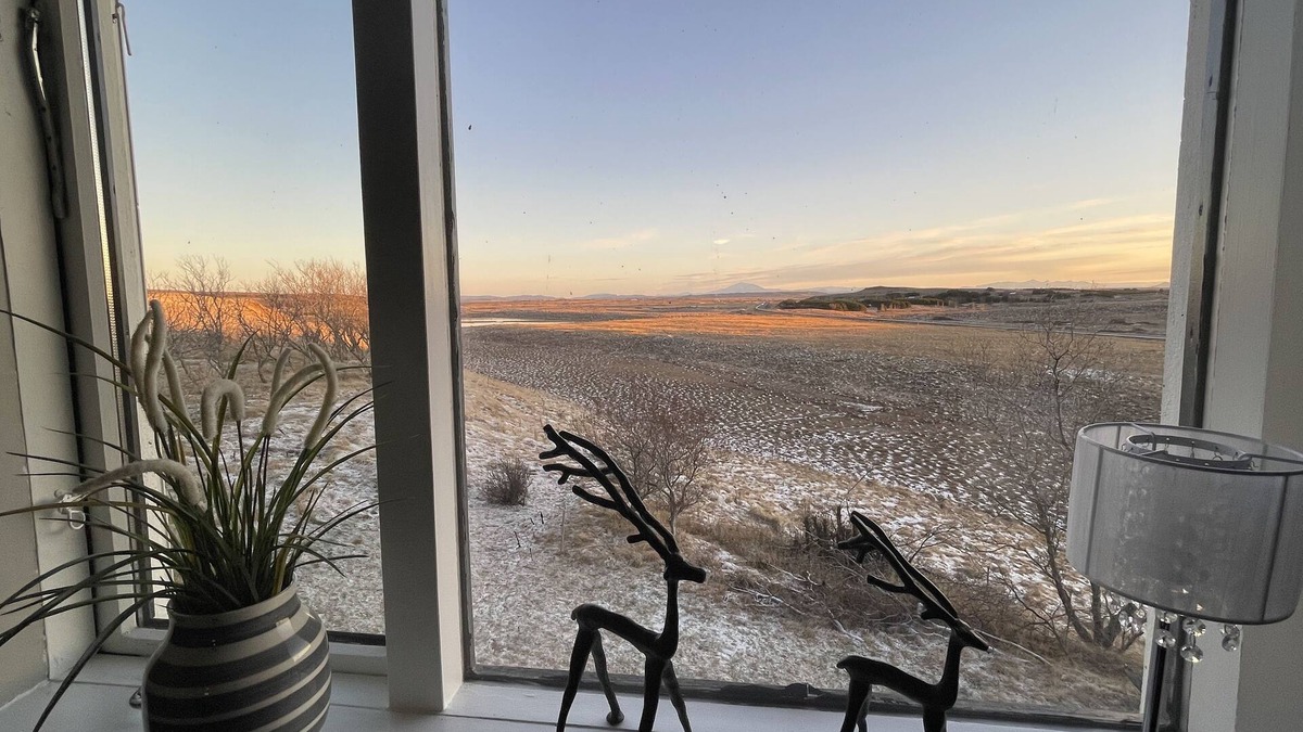 Selfoss House | Bitra Bed & Breakfast