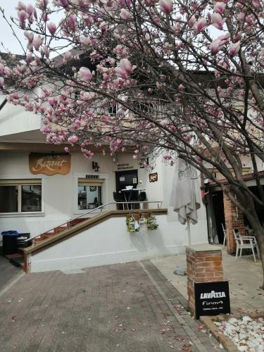 Bacau Hotel | Bizant Boutique