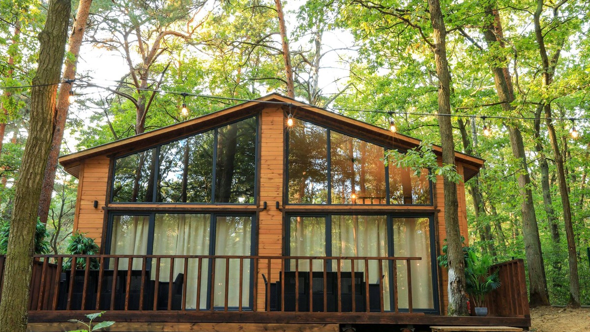 Zalesie Gorne Hotel | Bizon Village