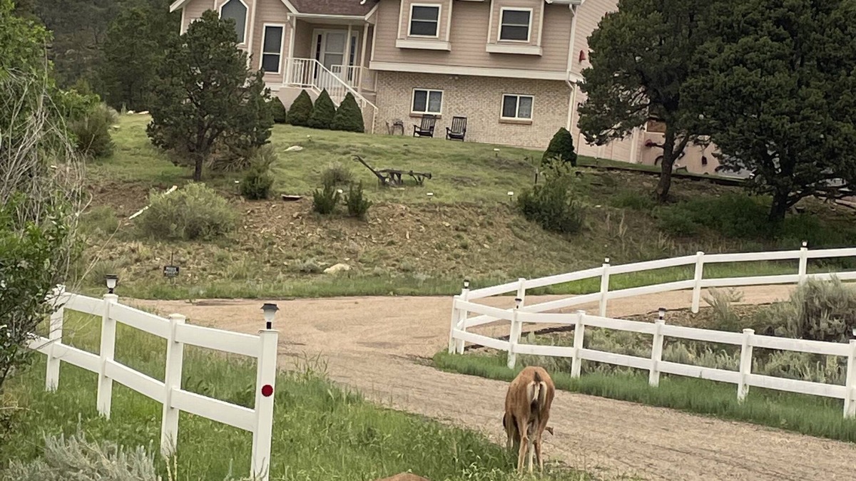 Raton House | Black Bear Ridge Vacation Home
