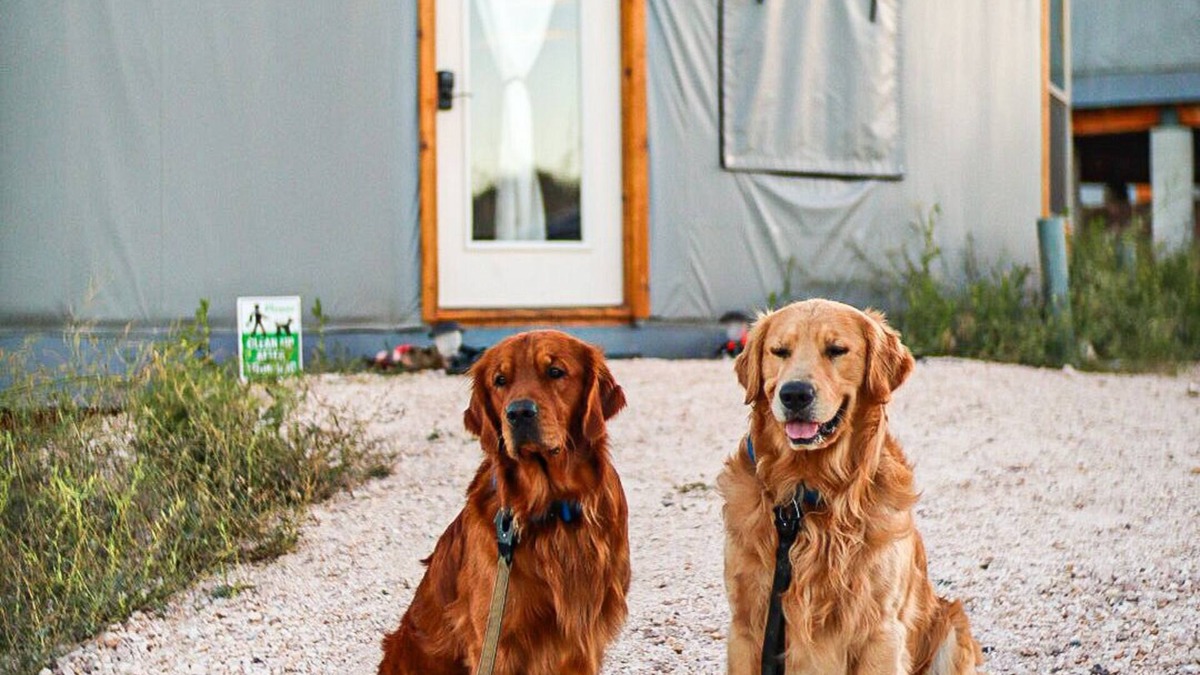 Garden City House | Black Bear Yurt overlook BEAR LAKE! full kitchen TV-AC-WIFI