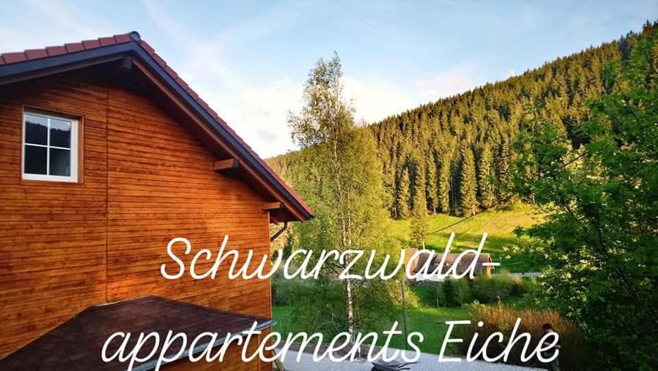 Neuglashutten Apartment | Black Forest Apartements by Hotel Grüner Baum Feldberg