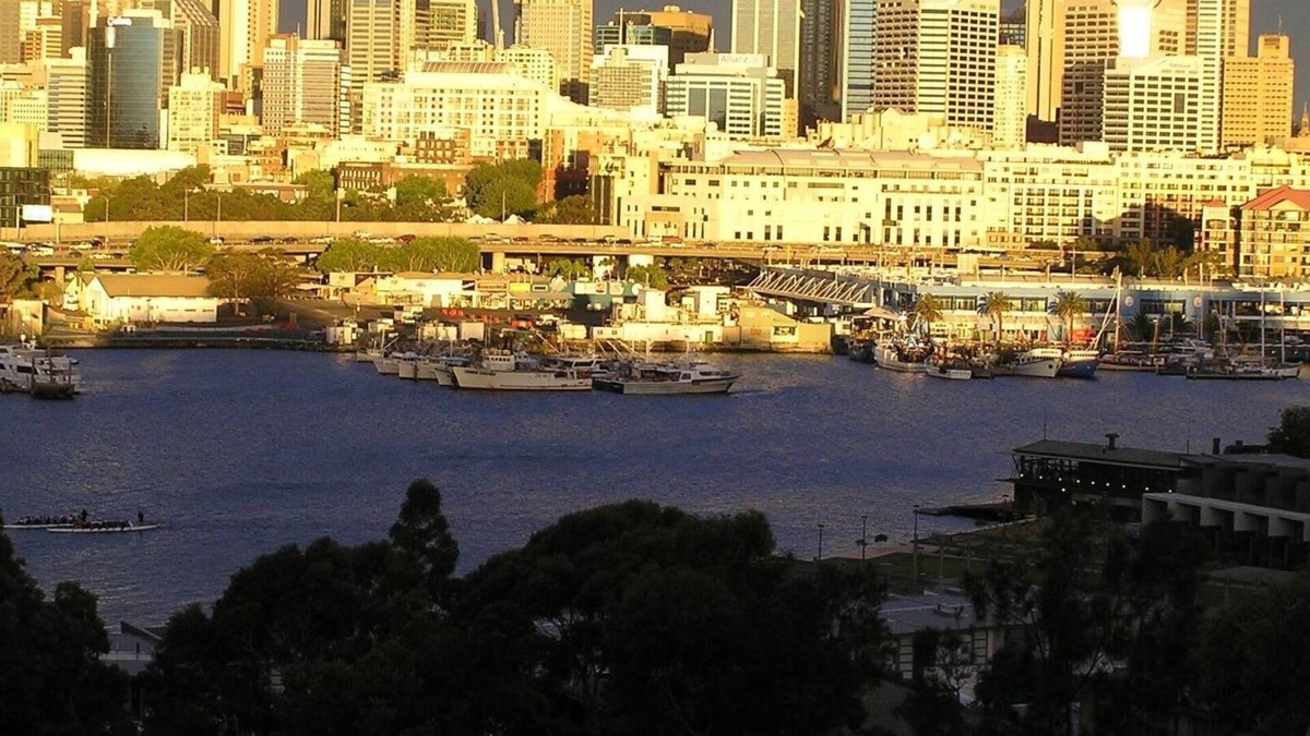 Glebe Apartment | Blackwattle Bay Apartment