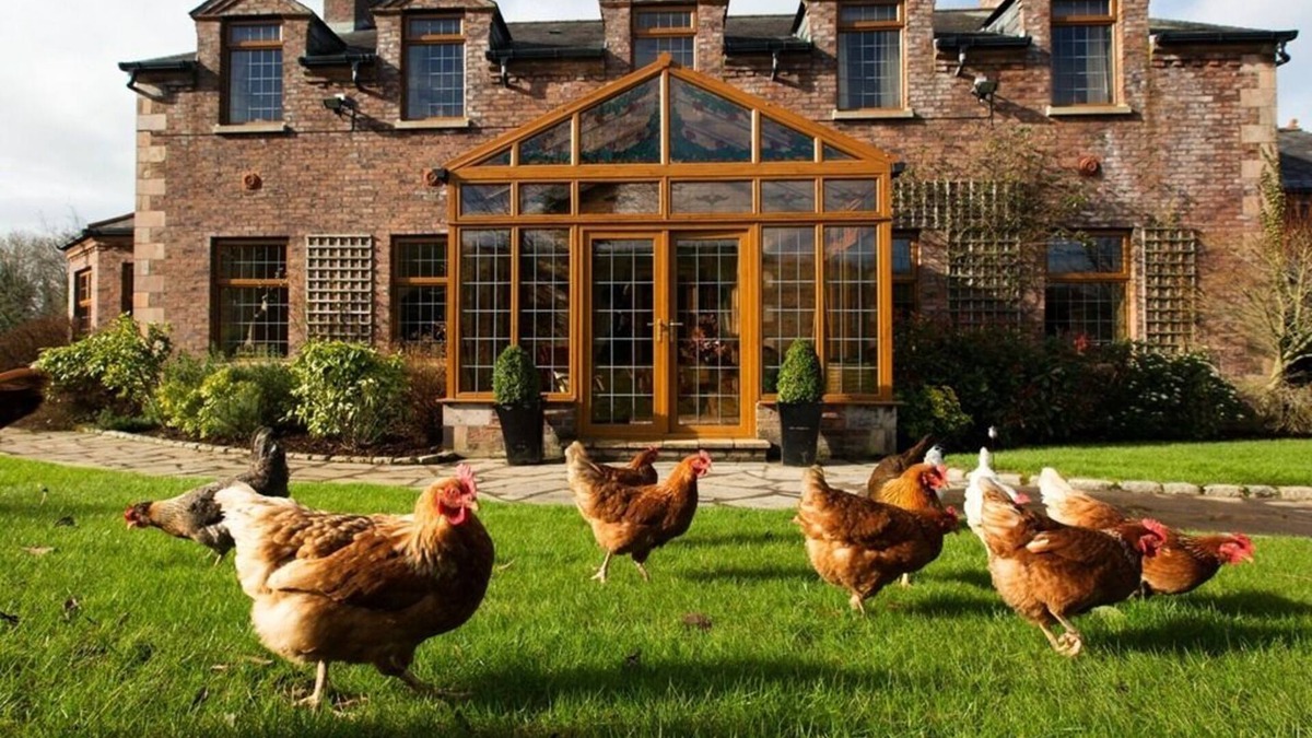 Craigavon House | Blackwell House
