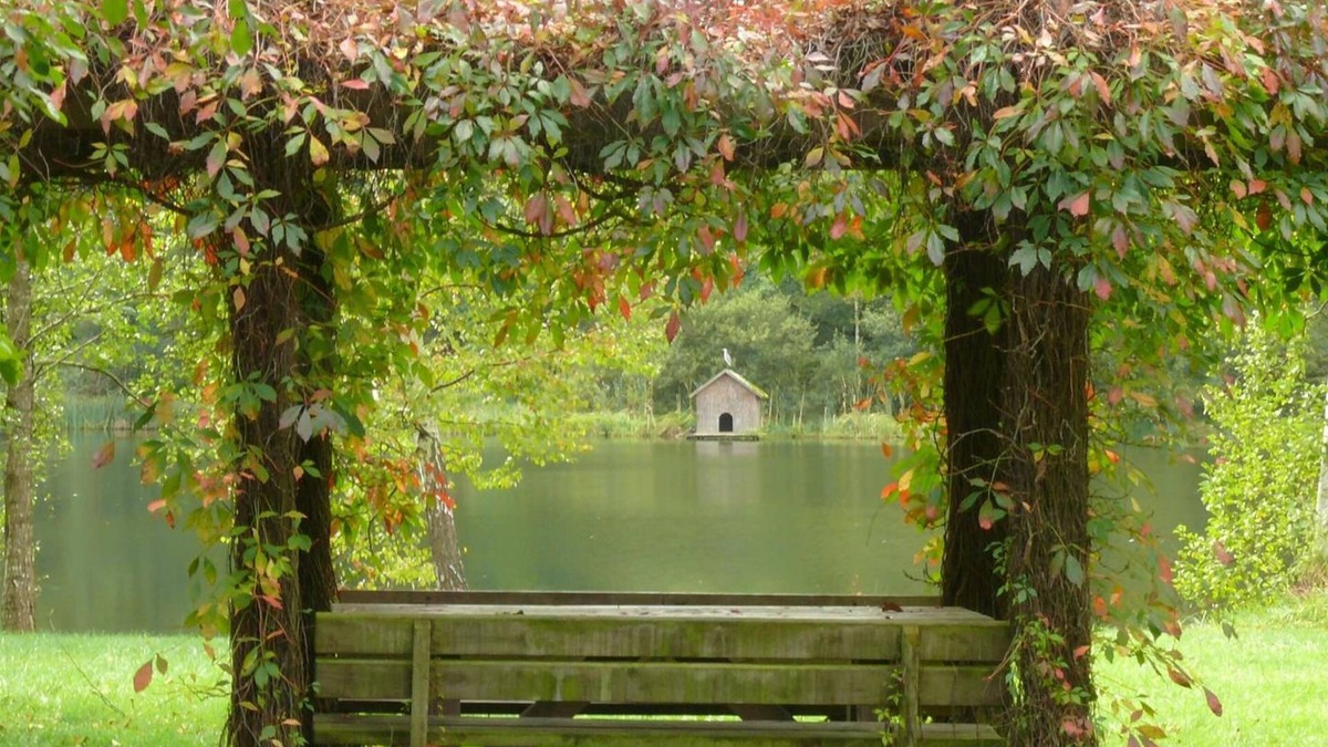 Ludwigswinkel Hotel | Blick zum Maimont