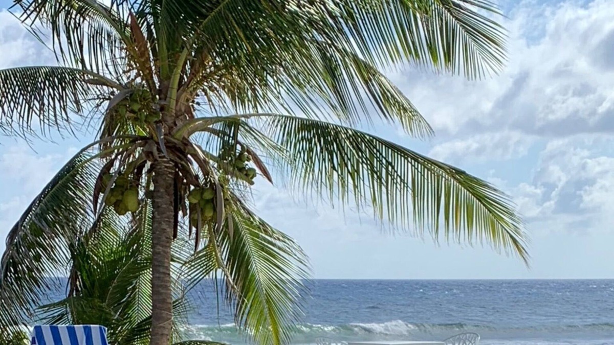 Tibbett's Turn House | Bliss Beach House, Cayman Brac - Secluded Beachfront Villa with Private Pool