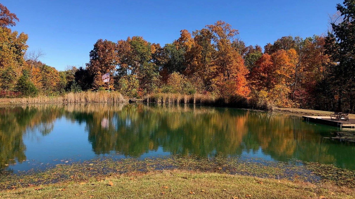 Stanford House | Bloomington hideaway, 10 min from downtown, catch some fish in private pond.