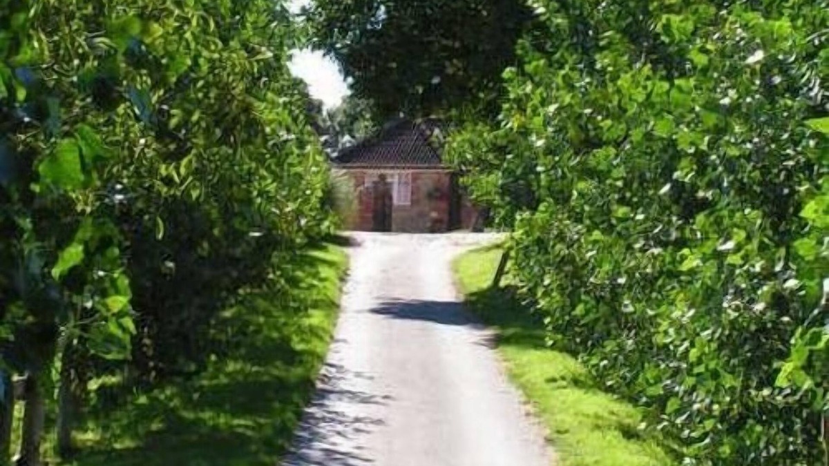 Potterne Bed & Breakfast | Blounts Court Farm
