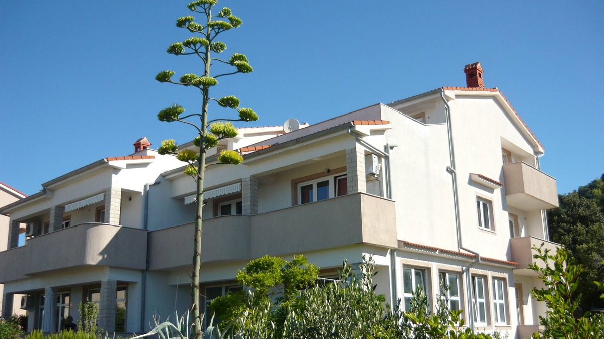 Barbat na Rabu Apartment | Blue apartment Jadro island Rab