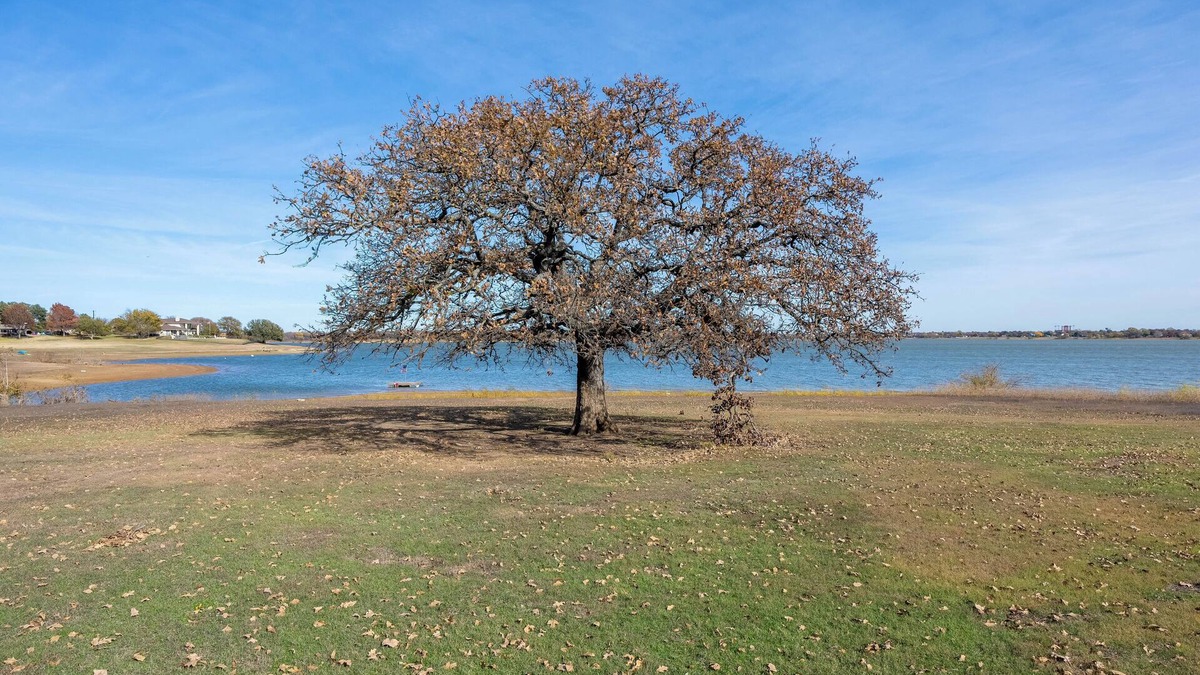 Little Elm House | Blue Bayou on Lake Lewisville. Charming 2-bedroom Lake House