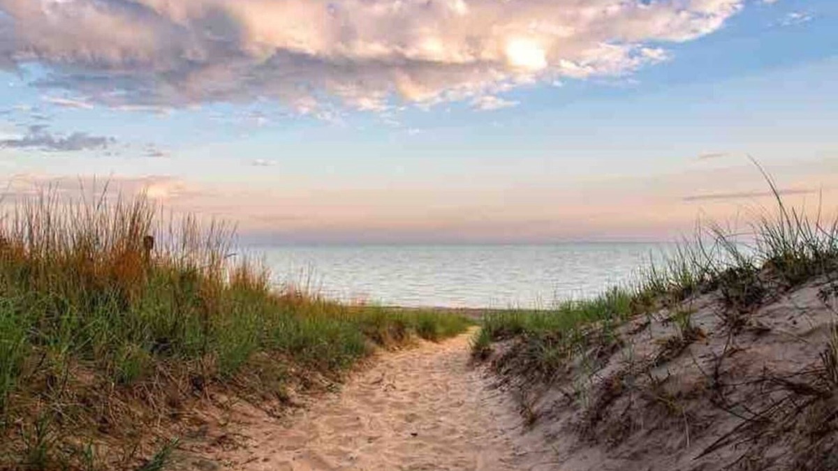 Wheeler House | Blue Birdhouse - No Cleaning Fee - Pet Friendly - Dunes National Park