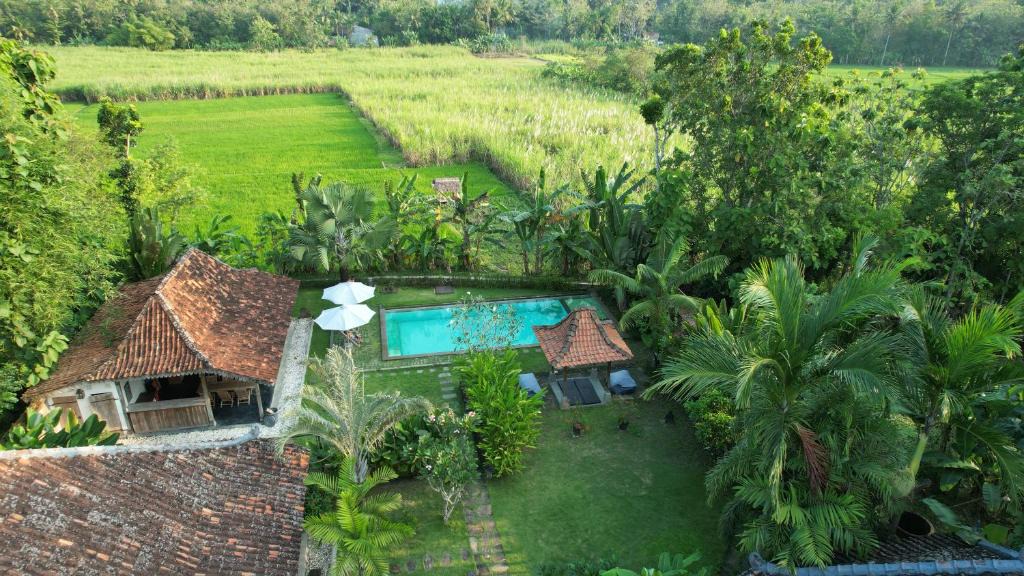 Bangunjiwo House | Blue Garden Yogyakarta