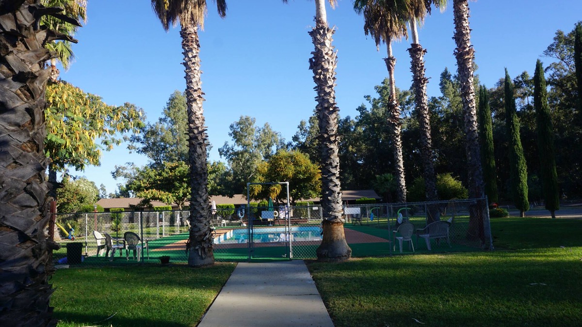 Willows Hotel | Blue Gum Motel