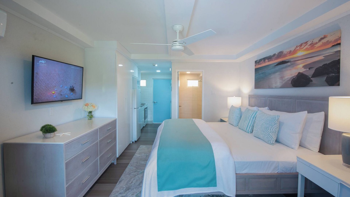 Dover Apartment | Blue Haven Holiday Apartments