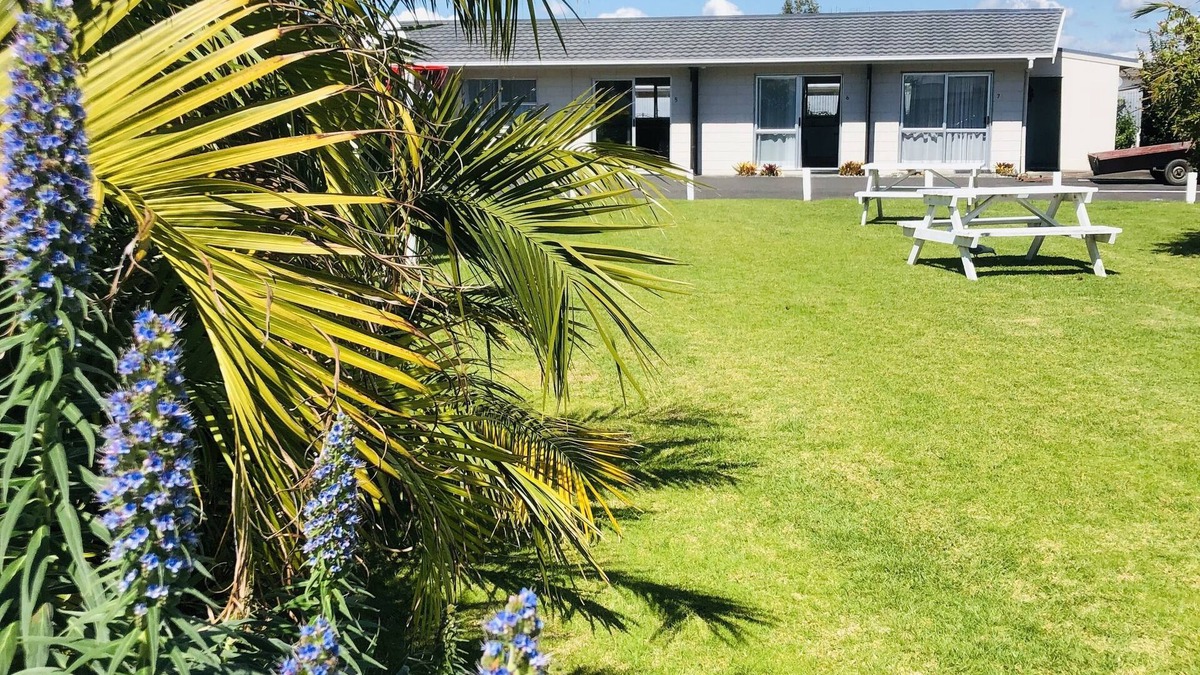 Mount Maunganui Hotel | Blue Haven Motel