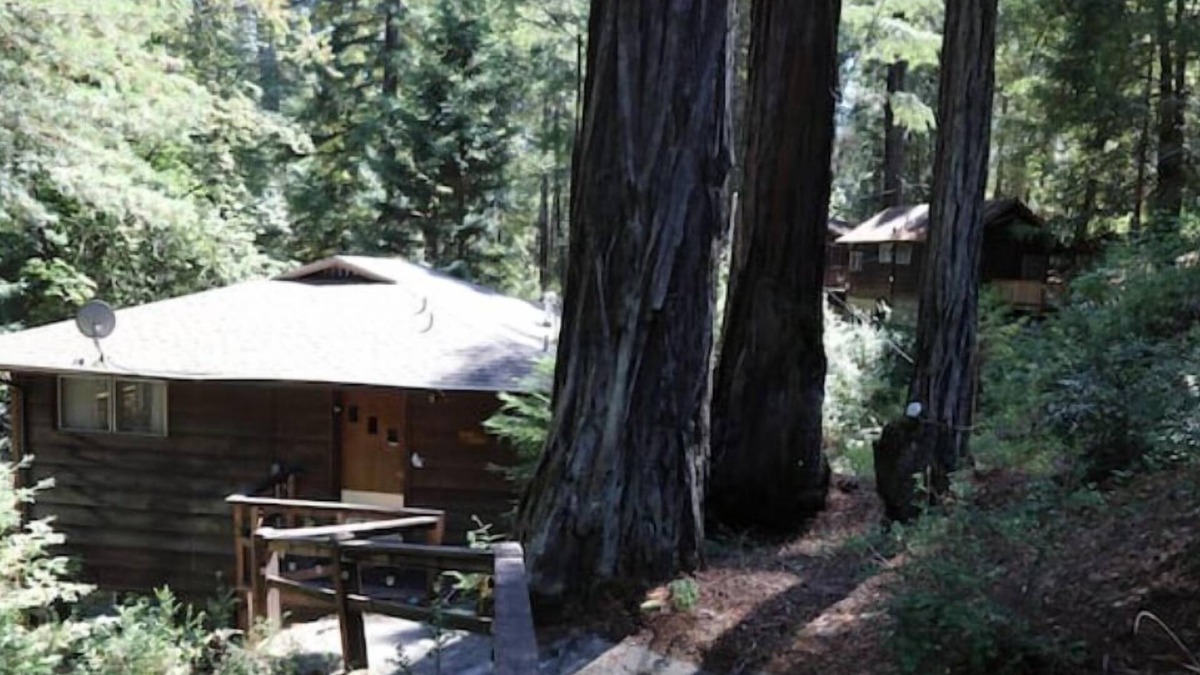 Garberville Apartment | "Blue Heron" Suite River Access In Redwoods WiFi