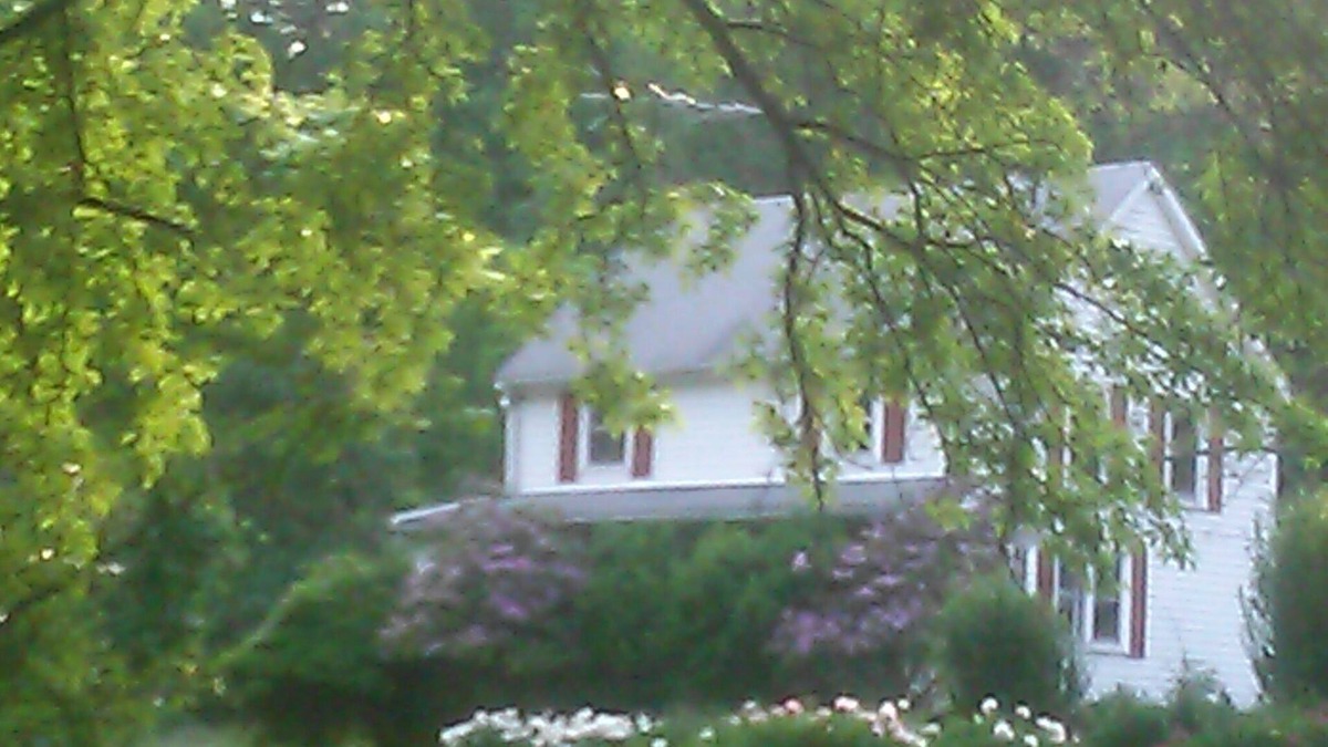 Quakertown House | Blue Heron Wildlife Sanctuary W/Cabin