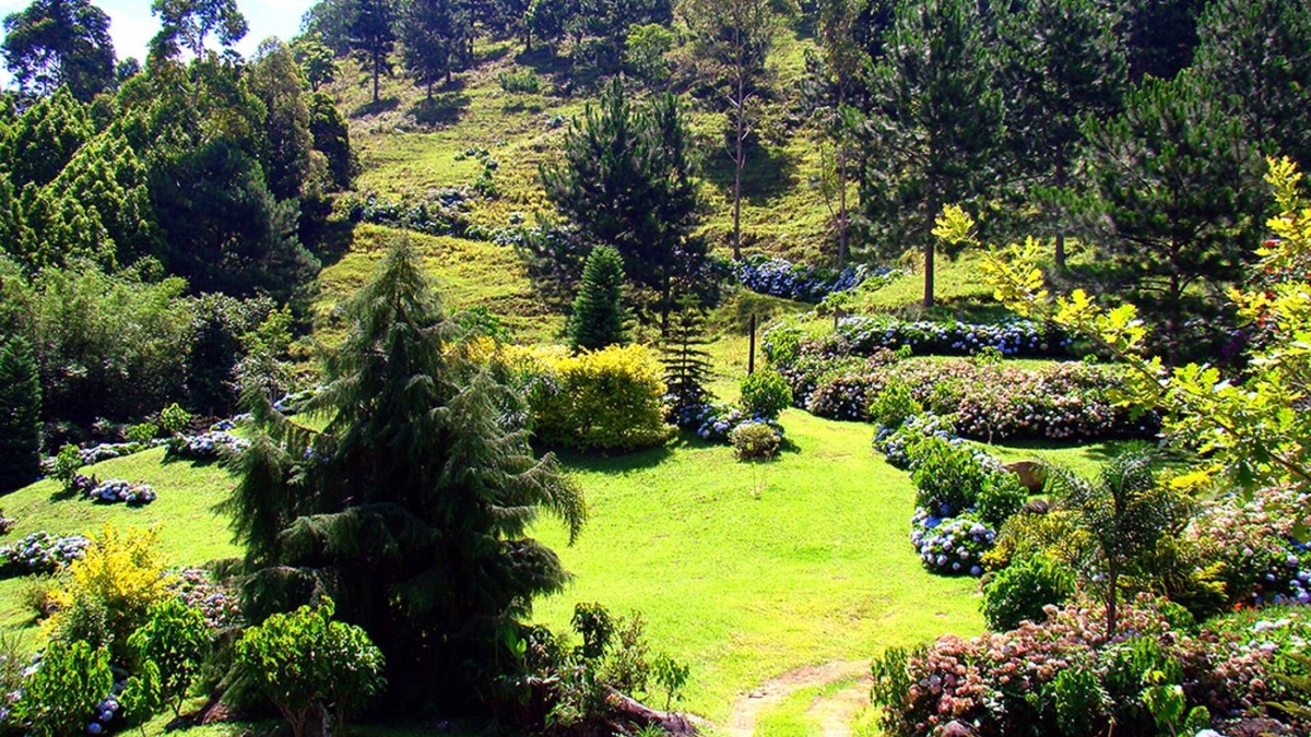 Timbo Hotel | Blue Hill Hotel