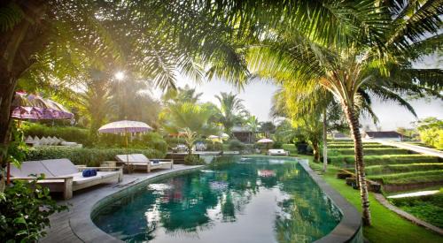 Melayang Resort | Blue Karma Dijiwa Ubud