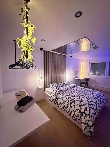 Saint-Louis Apartment | Blue pearl