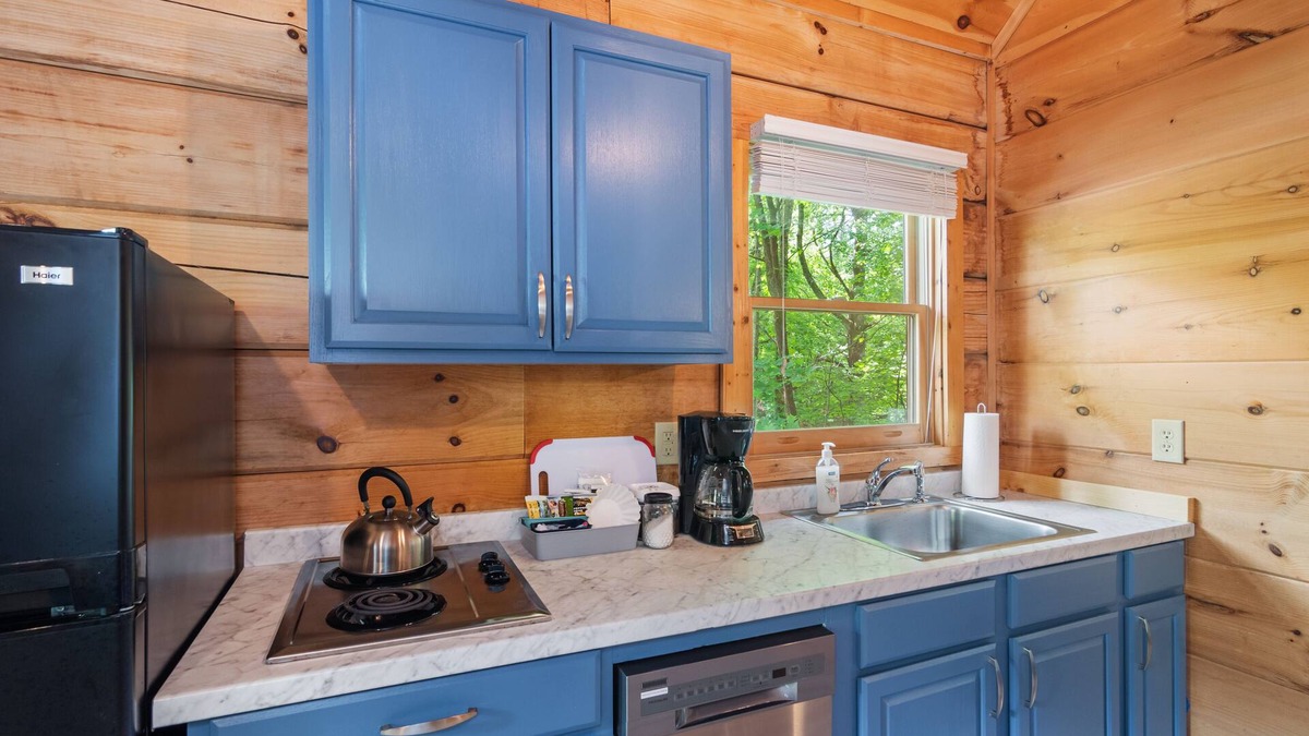 Jefferson Cabin | Blue RIdge Pkwy, Jefferson Sleeps 4 - mult. cabins avail. contact us for groups
