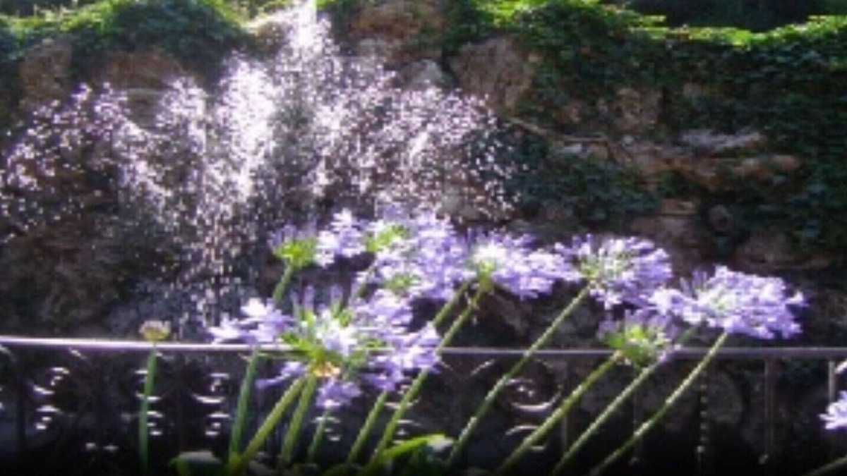 Bez-et-Esparon Bed & Breakfast | BLUE ROOM IN CHATEAUX MASSAL