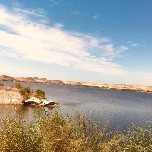 Abu Simbel Apartment | Blue rose