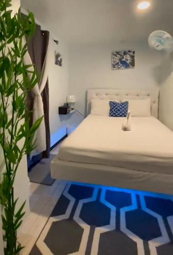 Bridgeport Bed & Breakfast | Blue Royalty