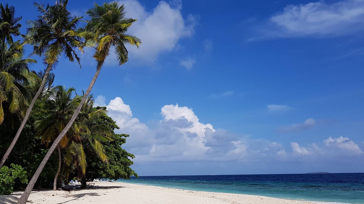 Dharavandhoo House | Blue World Dharavandhoo