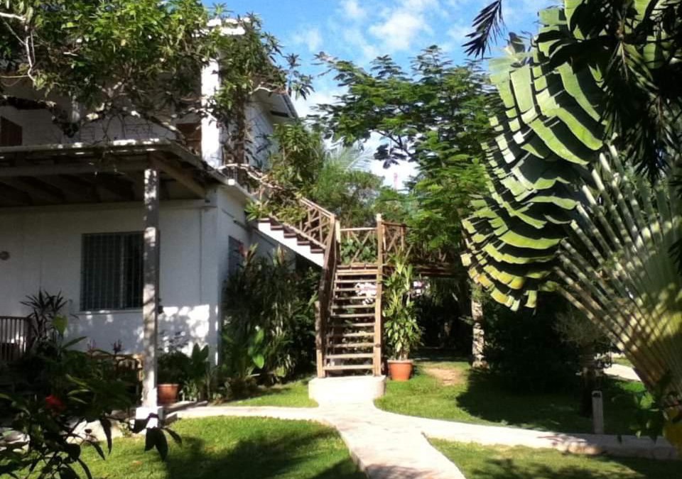 Forest Home Apartment | BlueBelize B&B