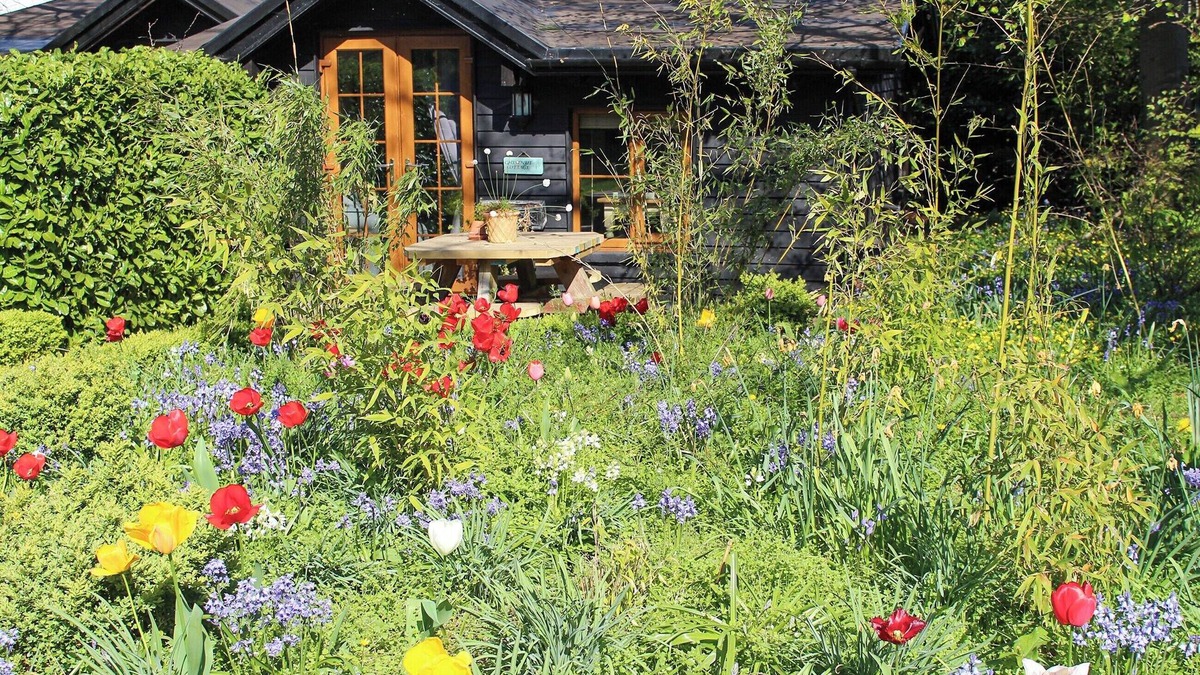 Dartford Cottage | Bluebell Cottage - 27635