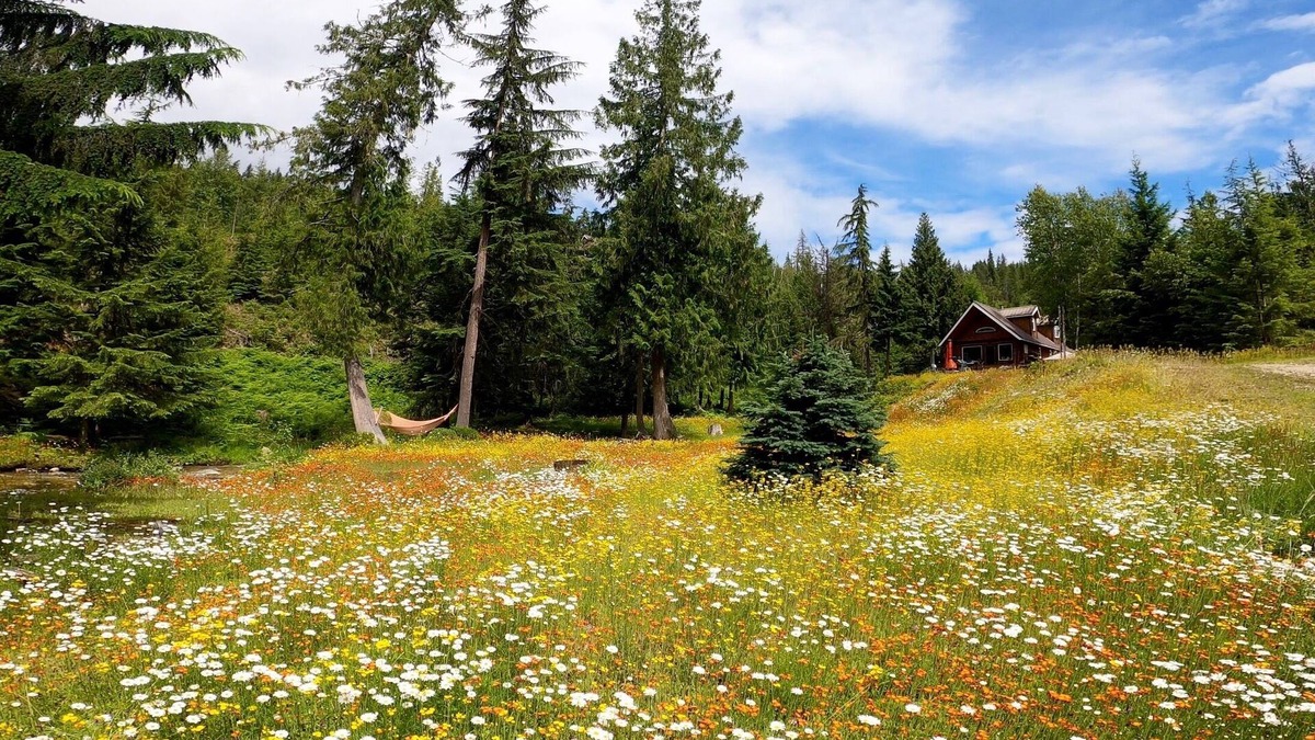 Albas Cottage | Blueberry Springs on Shuswap Lake. "Escape to Nature"