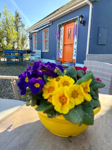 Shanavooneen House | Blueberry Tiny Home