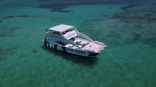 Punta Cana Boat Rental | Bluee Marine