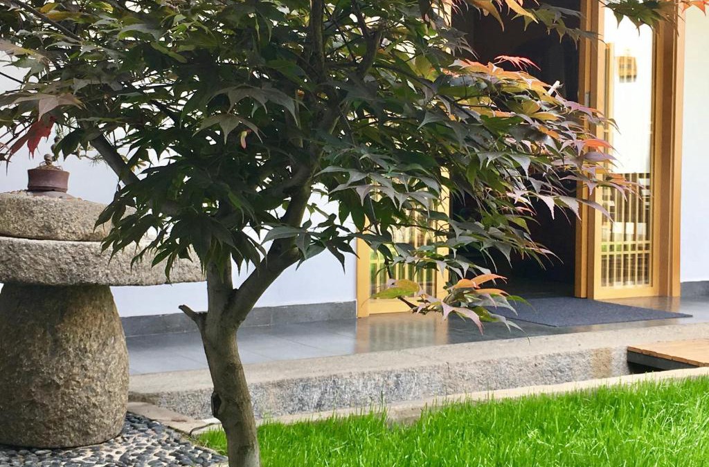 Dali Ancient Town House | Bo Nan Homestay