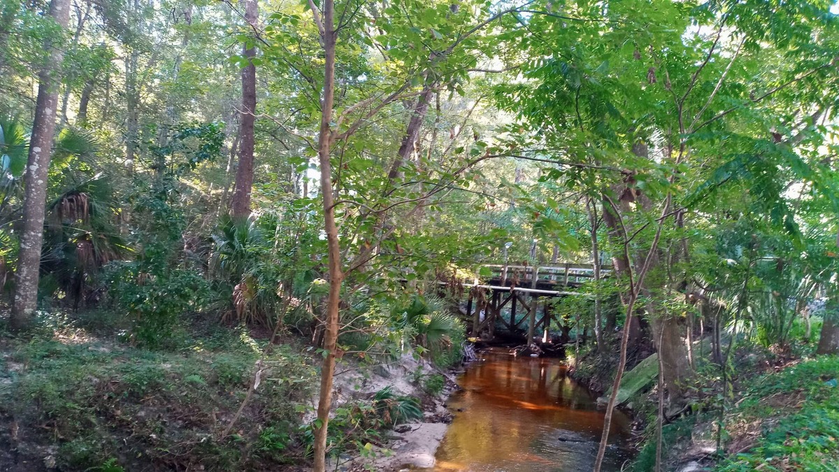 Gainesville Condo | Bobby Cat's condo, shared with owner, in forest setting w/creek, 1.5 mi. to UF!