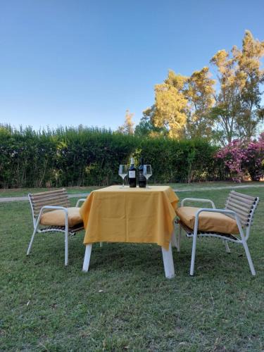 Tinogasta Apartment | Bodega y Alojamiento Don Vega 2