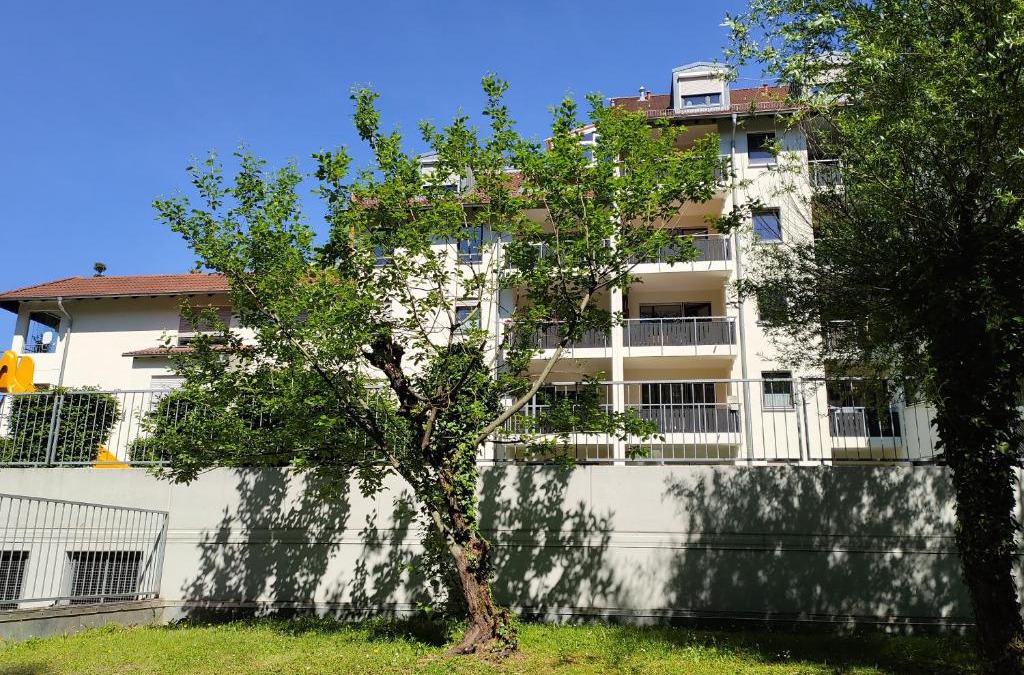 Schnetzenhausen Apartment | BodenSEE Apartment Friedrichshafen Rotkehlchen 23