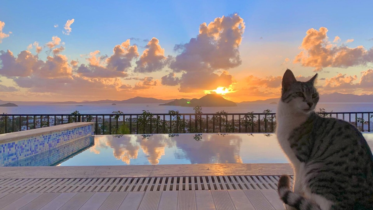 Turgutreis Villa | Bodrum - 5 bedrooms “Sunset villa”, with infinity heated swimming pool