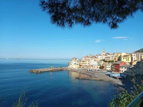 Bogliasco Apartment | Bogliasco La Fontana Home
