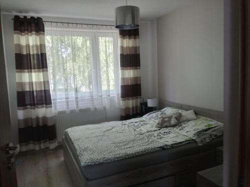 Boguchwały Apartment | BOGUCHWALY