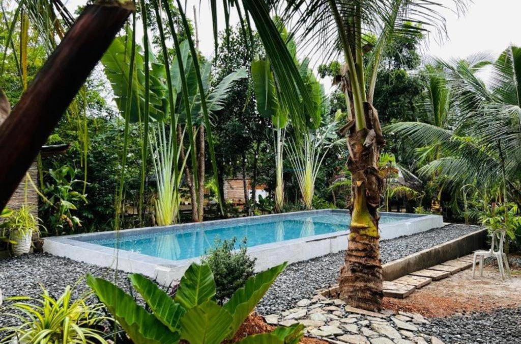 Libaong Bed & Breakfast | Bohol Island Homestay